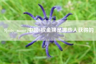石嘴山中国6枚金牌是哪些人获得的