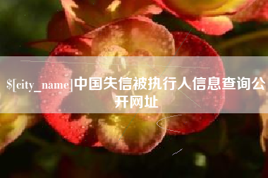 石嘴山中国失信被执行人信息查询公开网址