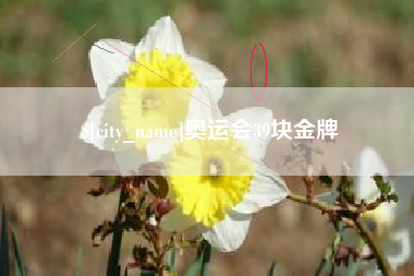 石嘴山奥运会39块金牌