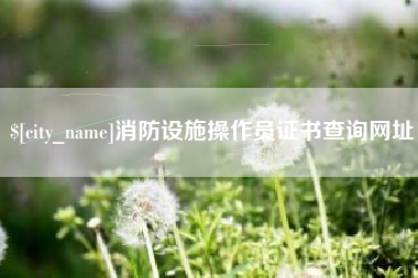 石嘴山消防设施操作员证书查询网址