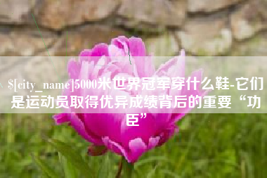 石嘴山5000米世界冠军穿什么鞋-它们是运动员取得优异成绩背后的重要“功臣”