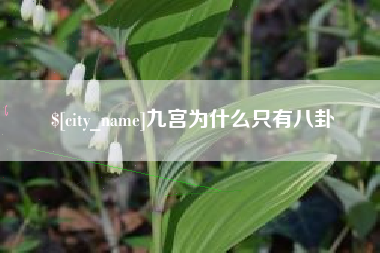 石嘴山九宫为什么只有八卦