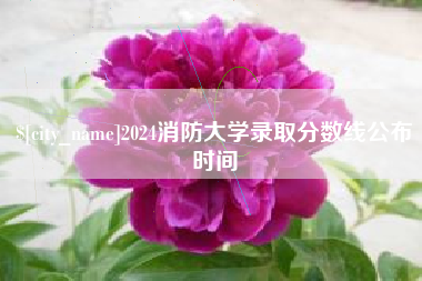 石嘴山2024消防大学录取分数线公布时间