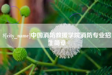石嘴山中国消防救援学院消防专业招生简章