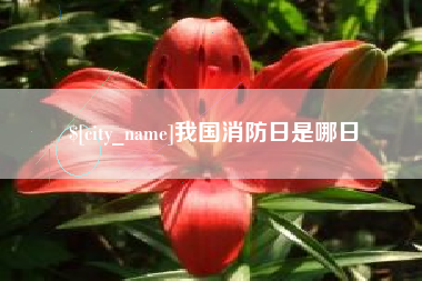 石嘴山我国消防日是哪日