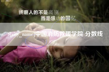 石嘴山中国消防救援学院 分数线