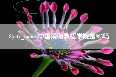石嘴山中国消防救援学院是985吗