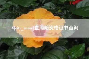 石嘴山查消防资格证书查询