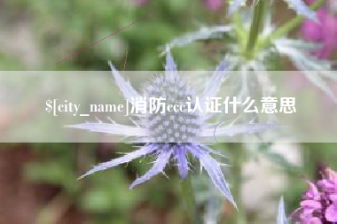 石嘴山消防ccc认证什么意思