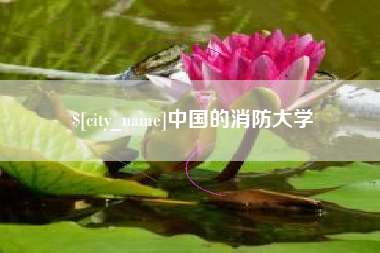 石嘴山中国的消防大学