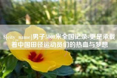 石嘴山男子5000米全国记录-更是承载着中国田径运动员们的热血与梦想