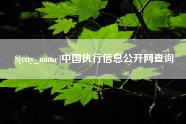 石嘴山中国执行信息公开网查询