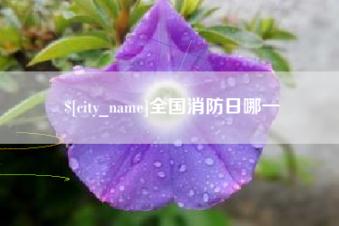 石嘴山全国消防日哪一