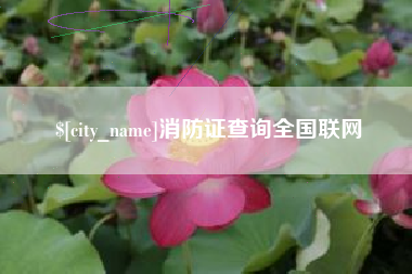 石嘴山消防证查询全国联网