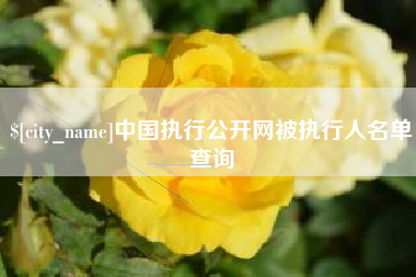 石嘴山中国执行公开网被执行人名单查询