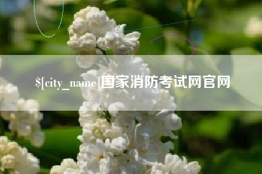 石嘴山国家消防考试网官网