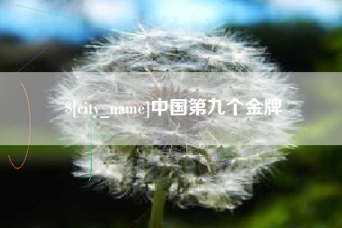 石嘴山中国第九个金牌