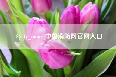 石嘴山中国消防网官网入口