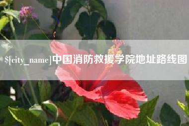 石嘴山中国消防救援学院地址路线图
