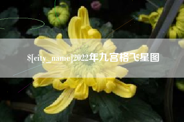 石嘴山2022年九宫格飞星图