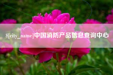 石嘴山中国消防产品信息查询中心