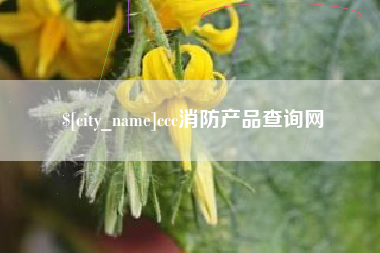 石嘴山ccc消防产品查询网