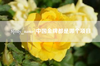 石嘴山中国金牌都是哪个项目