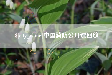 石嘴山中国消防公开课回放