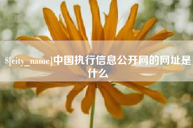 石嘴山中国执行信息公开网的网址是什么