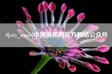 石嘴山中国消防网官方网站公众号