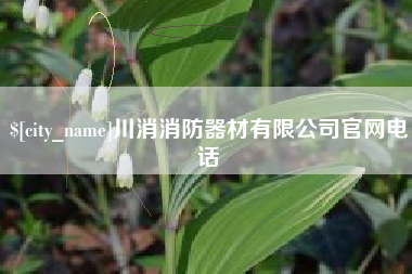 石嘴山川消消防器材有限公司官网电话