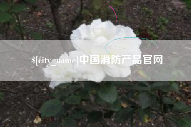 石嘴山中国消防产品官网