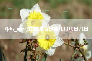 石嘴山我国消防日是几月几日几日