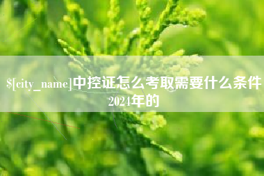 石嘴山中控证怎么考取需要什么条件2024年的