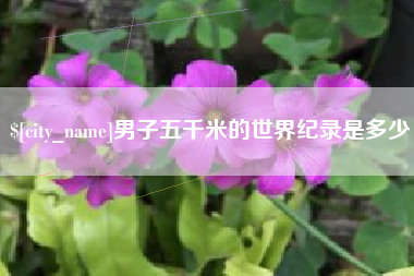 石嘴山男子五千米的世界纪录是多少