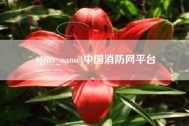 石嘴山中国消防网平台
