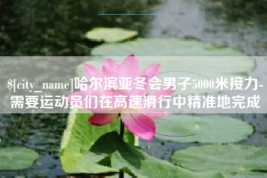 石嘴山哈尔滨亚冬会男子5000米接力-需要运动员们在高速滑行中精准地完成