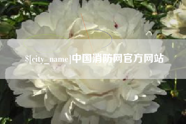 石嘴山中国消防网官方网站
