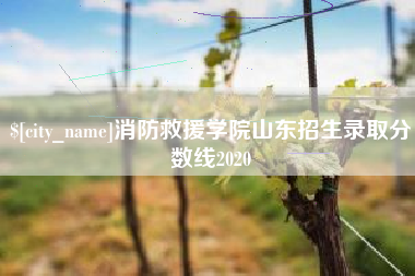 石嘴山消防救援学院山东招生录取分数线2020