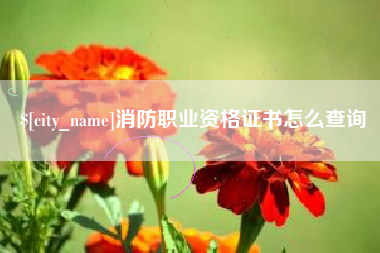 石嘴山消防职业资格证书怎么查询