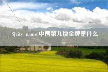石嘴山中国第九块金牌是什么