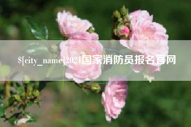 石嘴山2021国家消防员报名官网