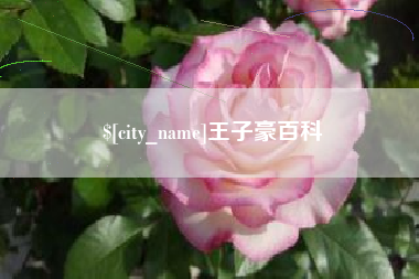 石嘴山王子豪百科