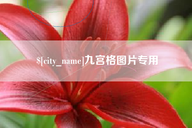 石嘴山九宫格图片专用