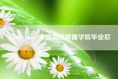 石嘴山中国消防救援学院毕业后