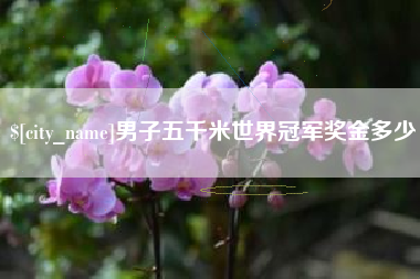 石嘴山男子五千米世界冠军奖金多少