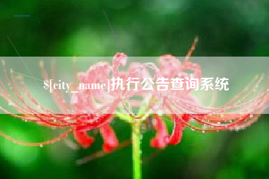 石嘴山执行公告查询系统