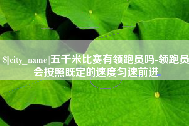 石嘴山五千米比赛有领跑员吗-领跑员会按照既定的速度匀速前进