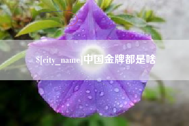石嘴山中国金牌都是啥