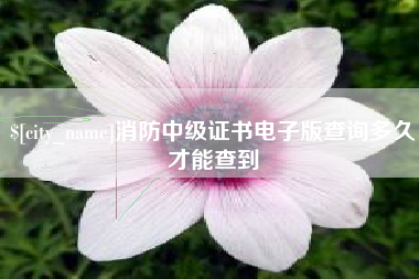 石嘴山消防中级证书电子版查询多久才能查到